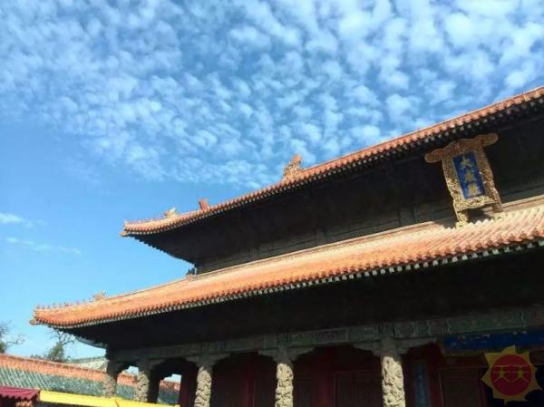 齐鲁古今交融地,山东印象