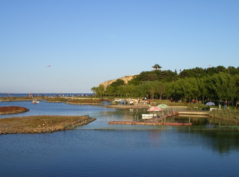 秦皇岛任务技能完成指南,初学者与进阶用户一步达成秘籍