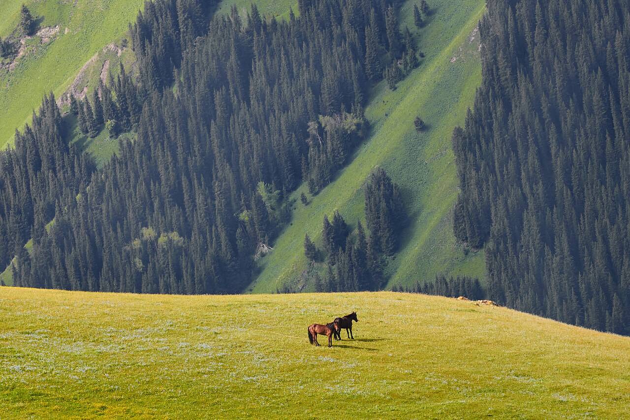 新疆印象,大学生眼中的绚丽西域风采